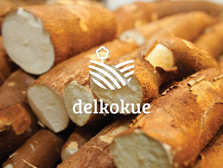 Delkokue: imagen 1 del proyecto
