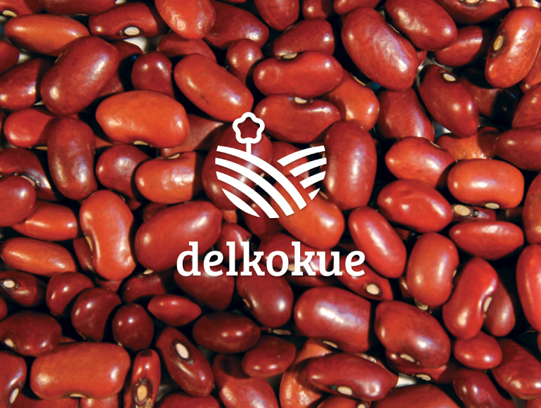 Delkokue: imagen 2 del proyecto
